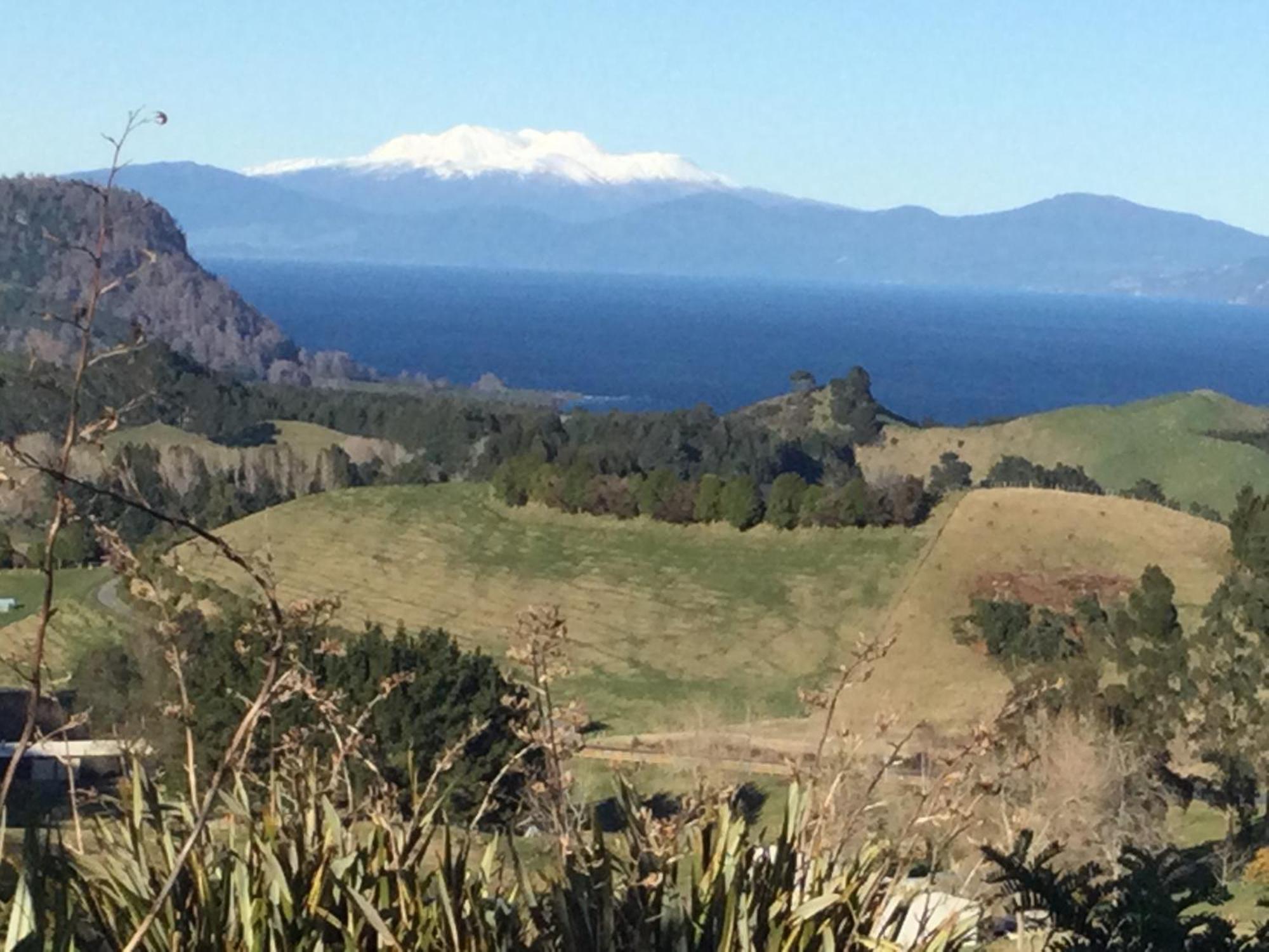 Whakaipo Bay Cabin Retreat Taupo Eksteriør bilde